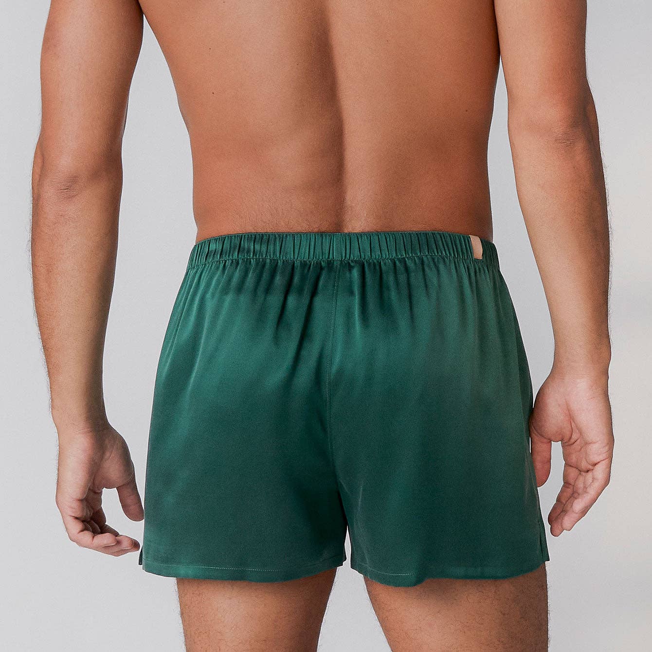 Men's Washable Silk Boxer, Hum Forest