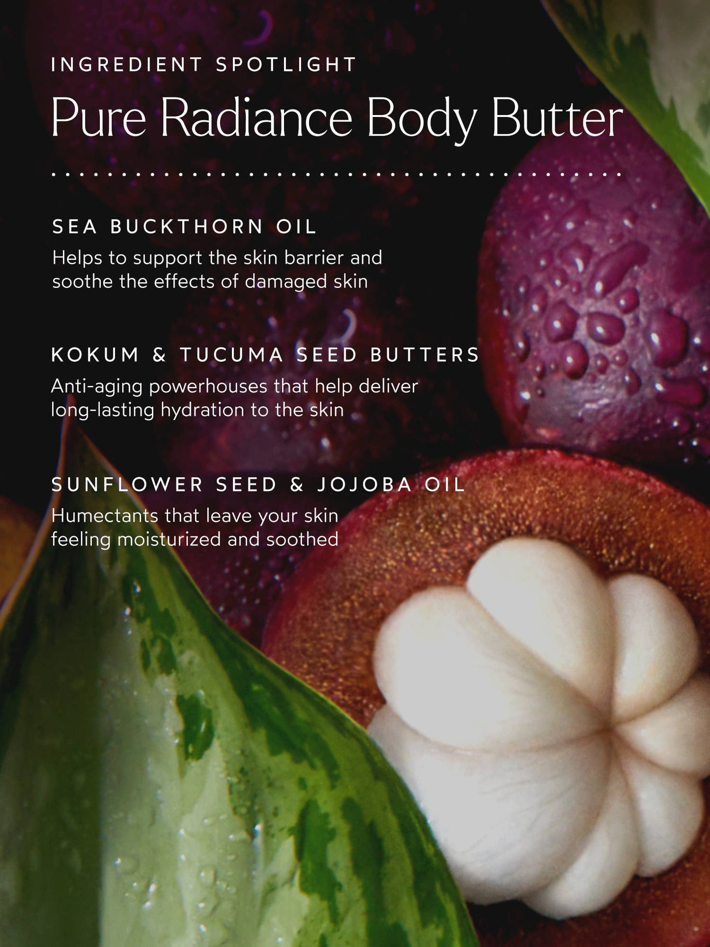 Body Love Pure Radiance Body Butter
