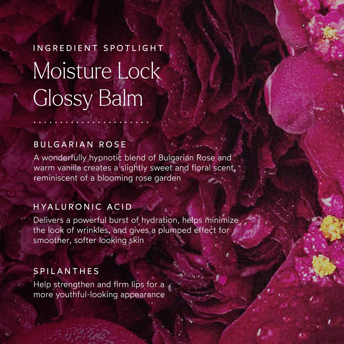 Moisture Lock Glossy Lip Balm, Berry