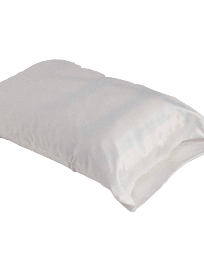 Washable Silk Good in Bed Queen Pillowcase, Tranquil white
